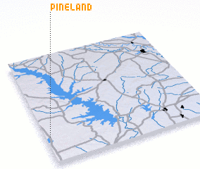 3d view of Pineland