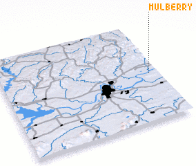 3d view of Mulberry