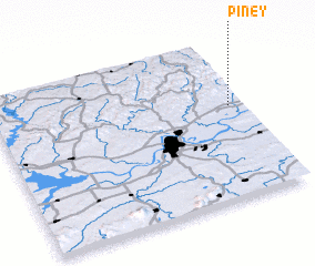 3d view of Piney