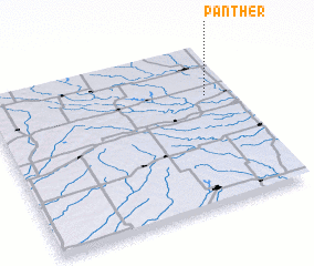 3d view of Panther