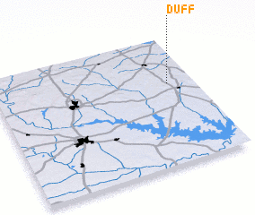 3d view of Duff