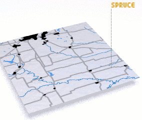 3d view of Spruce