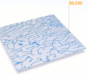 3d view of Silcox