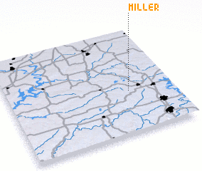 3d view of Miller