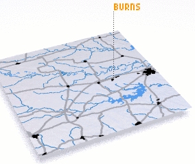 3d view of Burns