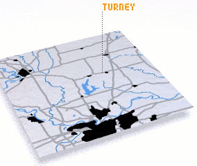 3d view of Turney