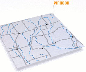 3d view of Pinhook