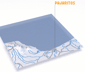 3d view of Pajaritos