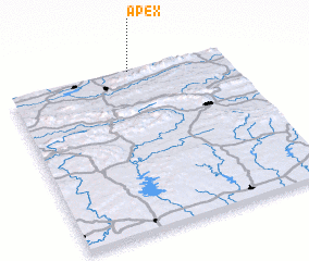 3d view of Apex