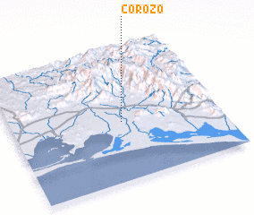 3d view of Corozo