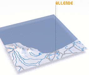 3d view of Allende