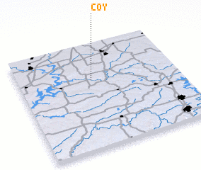 3d view of Coy