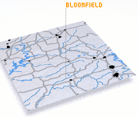 3d view of Bloomfield