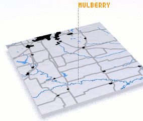 3d view of Mulberry