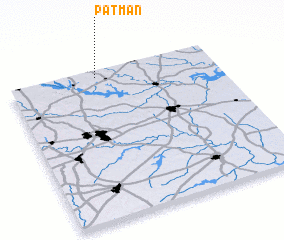 3d view of Patman