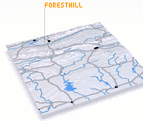 3d view of Forest Hill