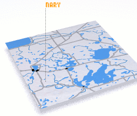 3d view of Nary