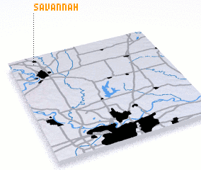 3d view of Savannah