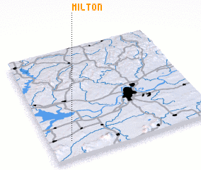 3d view of Milton