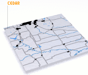 3d view of Cedar