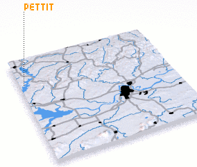 3d view of Pettit