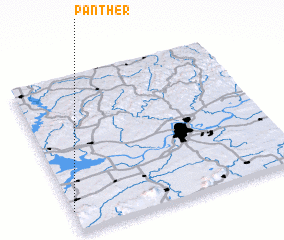 3d view of Panther