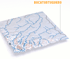 3d view of Boca Tortuguero