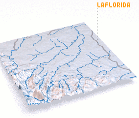 3d view of La Florida