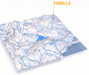 3d view of Tigrillo