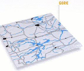 3d view of Gore