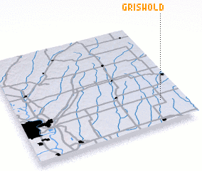 3d view of Griswold