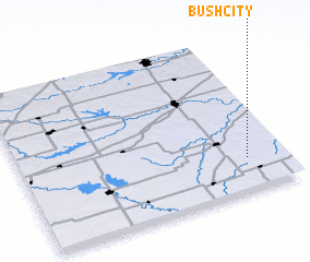 3d view of Bush City