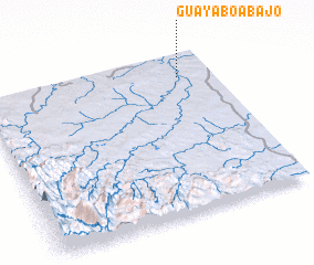 3d view of Guayabo Abajo