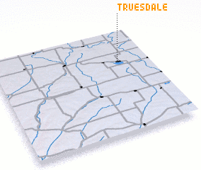 3d view of Truesdale