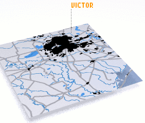 3d view of Victor