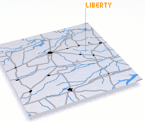 3d view of Liberty