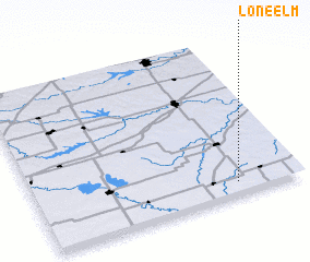 3d view of Lone Elm