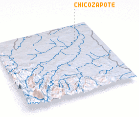 3d view of Chicozapote