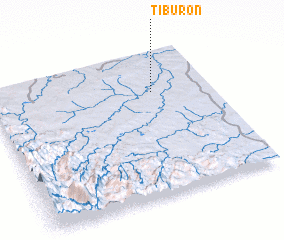 3d view of Tiburón