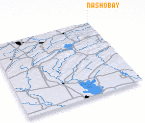 3d view of Nashoba Y