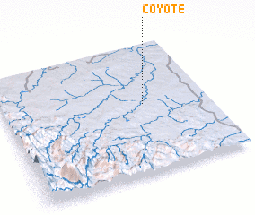 3d view of Coyote