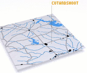 3d view of Cut and Shoot