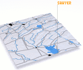 3d view of Sawyer