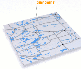 3d view of Pine Point