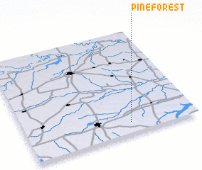 3d view of Pine Forest