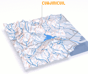 3d view of Cuajinicuil