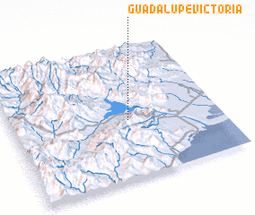 3d view of Guadalupe Victoria