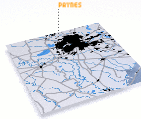 3d view of Paynes