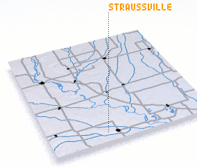 3d view of Straussville