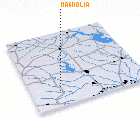 3d view of Magnolia